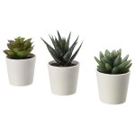Artificial Potted Plants,Fake Plants Small Potted in White Pot, Mini Artificial Plants Indoor for Home Farmhouse Bathroom Shelf Décor (3 PCs Set)