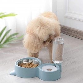2 in 1 Bowl Water and Food Cat Feeder with Detachable Stainless Steel Bowl and Automatic Water Dispenser Bottle for Small Pets (Set of 1)