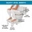 Made in India Tool for Western Toilet Portable Comfortable Sturdy Foot Step for Potty Training Kids Adults 50x28.5x19.5CM White,Plastic