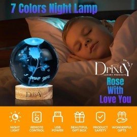3D Galaxy Crystal Ball Night Light Creative Engraved Aesthetic Ball Dim Night Lamp, USB Powered Bed Table Lamp LED Wooden Base for Home Decoration, Birthday, Gifts, Teens (Dolphine Lamp)