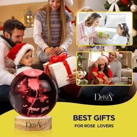 3D Galaxy Crystal Ball Night Light Creative Engraved Aesthetic Ball Dim Night Lamp, USB Powered Bed Table Lamp LED Wooden Base for Home Decoration, Birthday, Gifts, Teens (Dolphine Lamp)