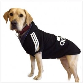 Dog Hoodie Warm Soft Clothing Fleece Sweater Cotton Jacket Shirt from Medium Size (Multi Color)