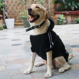 Dog Hoodie Warm Soft Clothing Fleece Sweater Cotton Jacket Shirt from Medium Size (Multi Color)