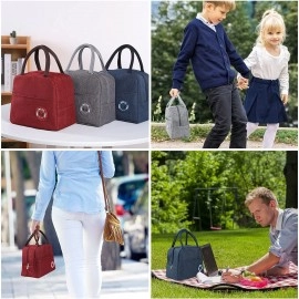 Polyester Insulated Lunch Bag Tiffin Bag for Office for Women, for Kids to School Picnic Travelling Lunch Box Cover Lunch Bag for Office with Handle (Grey) (Size: 23 X 12X 19)