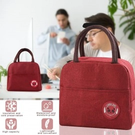 Polyester Insulated Lunch Bag Tiffin Bag for Office for Women, for Kids to School Picnic Travelling Lunch Box Cover Lunch Bag for Office with Handle (Grey) (Size: 23 X 12X 19)