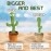 Toys Talking Cactus For Kids Dancing Cactus Toys Can Sing Wriggle & Singing Recording Repeat What You Say Funny Education Toys Playing Home Decor Items For Kids,Green