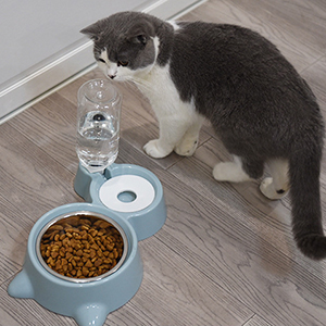 CREDLY2in1BowlWaterandFoodCatFeederwithDetachableStainlessSteelBowlandAutomaticW