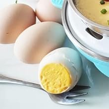 THEMISTO-Instant-Egg-Boiler-Poacher-Coocker-Machine-350-Watts-Boil-upto-7-Eggs-H